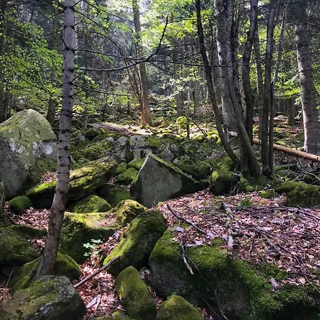 Alpine Hideaway In A 1700's Borgata